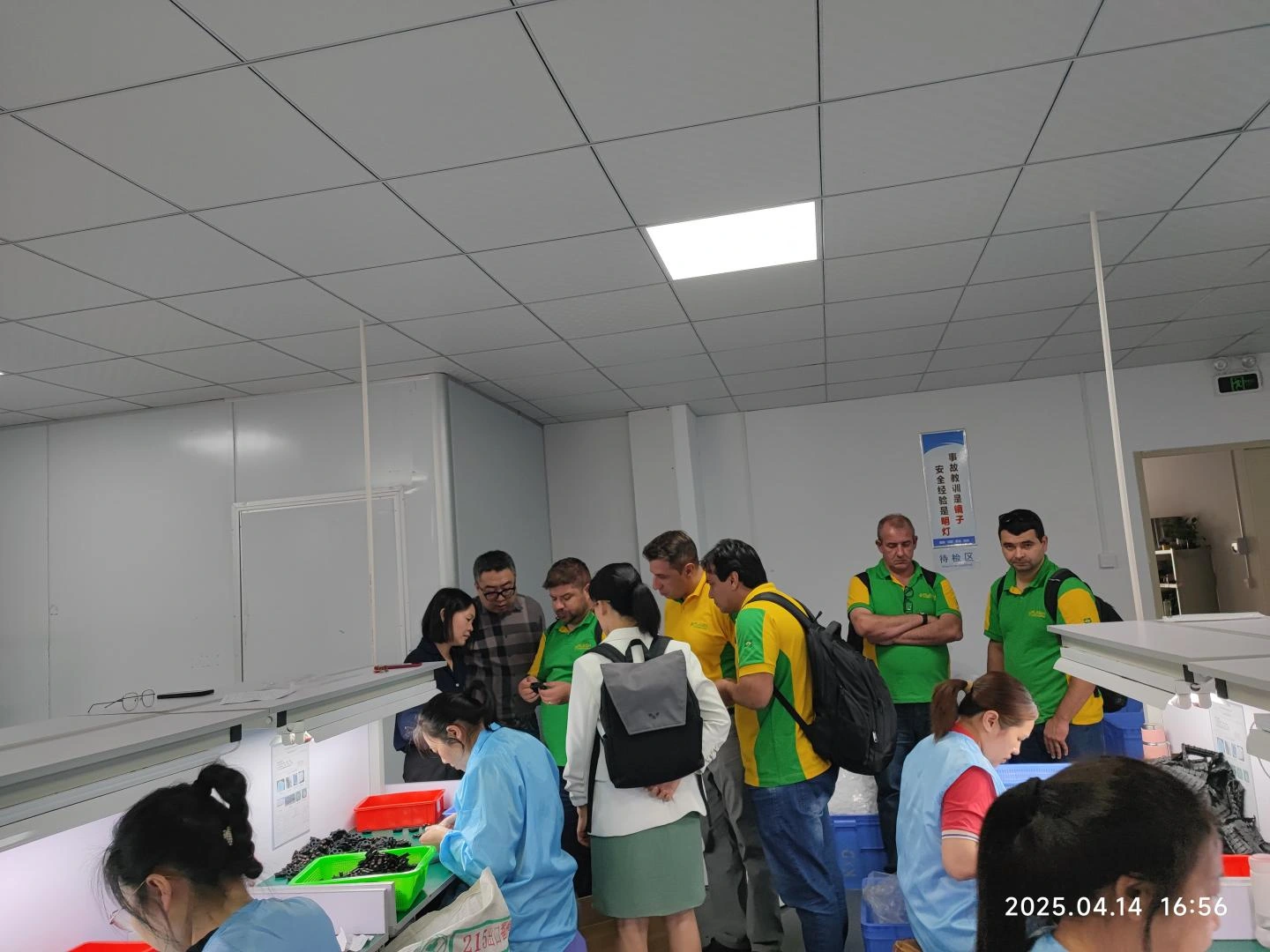 Silicone autotive