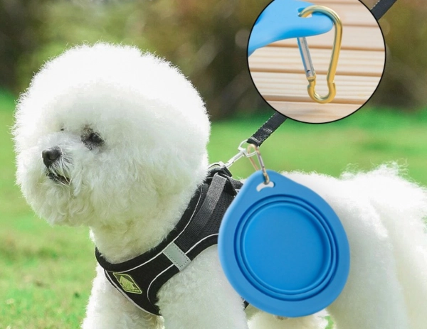 silicone pet toy wholesale OEM China(2)