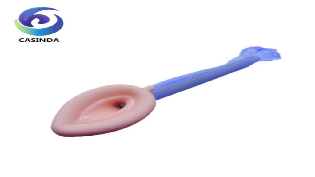 Is Silicone Safe for Body Long Term Use? Myths vs Science